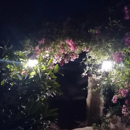 Maison Du Cheval 住宿加早餐酒店