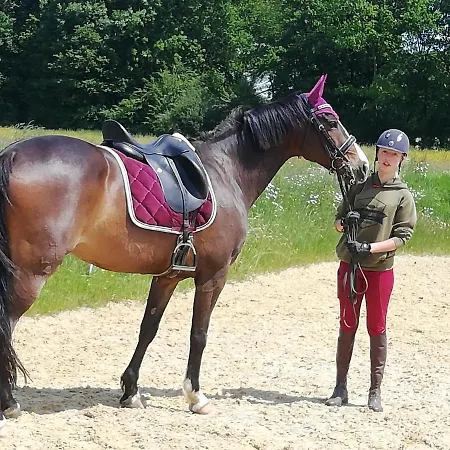 Maison Du Cheval 住宿加早餐酒店 Chalais (Dordogne)