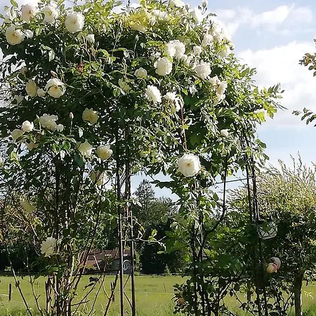 Maison Du Cheval 住宿加早餐酒店 Chalais (Dordogne)