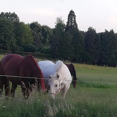Maison Du Cheval Bed and breakfast