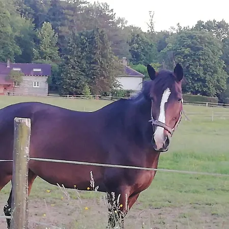 Maison Du Cheval 住宿加早餐酒店 3*