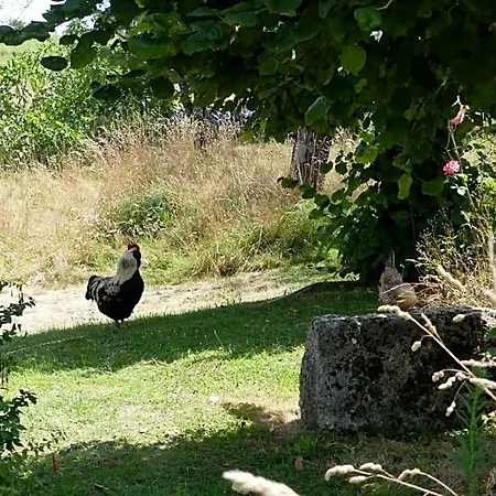 Maison Du Cheval 3* Chalais (Dordogne)