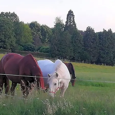 Bed & Breakfast Maison Du Cheval 3*