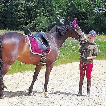 Bed & Breakfast Maison Du Cheval