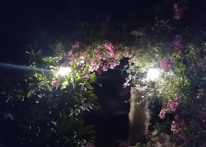 Maison Du Cheval Bed & Breakfast