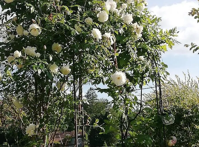 Maison Du Cheval Bed & Breakfast Chalais (Dordogne)