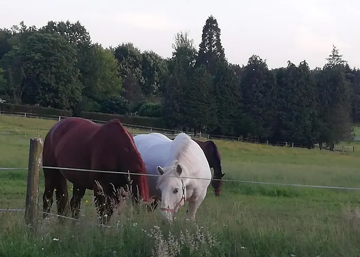 Maison Du Cheval Bed & Breakfast